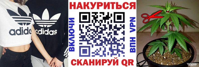 Бошки марихуана THC 21%  Покровск 